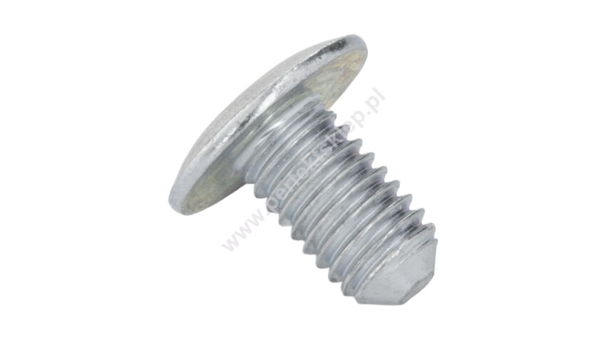 Śruba ocynkowana z łbem płaskim M8*13mm T30 Hormann nr kat. 3095663
