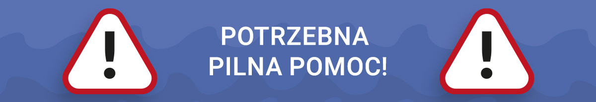 Grafika